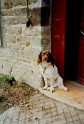 20011025 LE BOSQUET Karen H 04